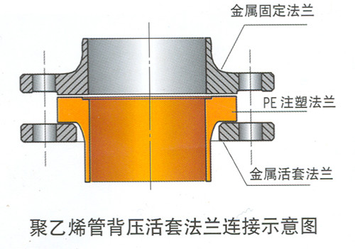 中建教育